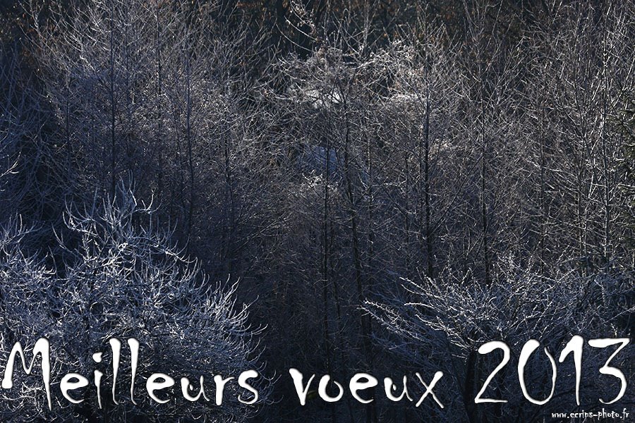 Bonne année à tous