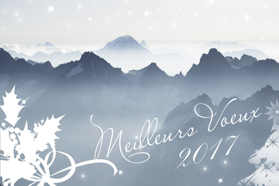 Meilleurs Voeux pour 2017 2017 est arrivé.
Je vous souhaite mes meilleurs vœux pour 2017, faites de bonheur, petit ou grand.