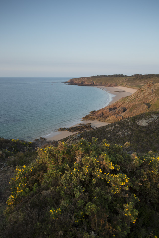 Crépuscule marin en Armorique Quoi de plus rafraichissant que la douceur du soir sur la côte de Penthièvre, éclairé pour l'occasion par les derniers rayons du soleil qui caresse les roches et les fleurs.
La côte oscille entre pointe de grès et plage de sable, créant une grande diversité de paysage pour le plus grand plaisir des contemplatifs.