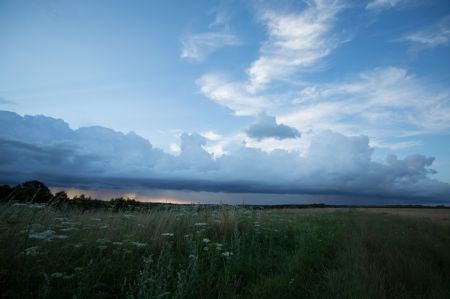 Page : Des blÃ© et des Champs