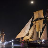 Le Wylde Swan lors de la parade nocturne