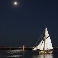 Le Renard sous la lune lors de la parade Nocturne