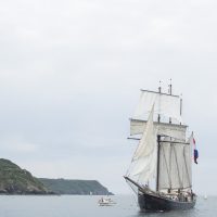 Le Wylde Swan dans le Goulet